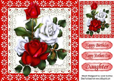Pretty Red and White Roses in Lace Frame 8x8