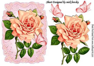 Stunning Peach/pink Rose with Butterflies on a Scroll Plaque