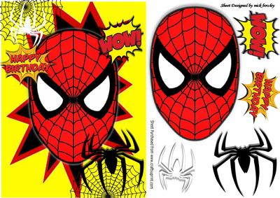 Spider Web Mask with Spiders Black and White in Webs