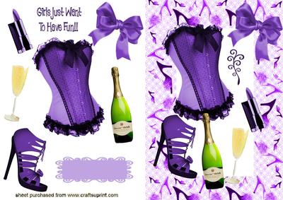 Gorgeous Ladies Accessories in Purple/black