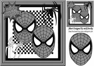 Super Hero, Silver Masks with Black and White Spiders 8x8