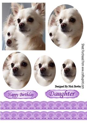 Cute Pair of Cream Chihuahuas with Oval Pyramids