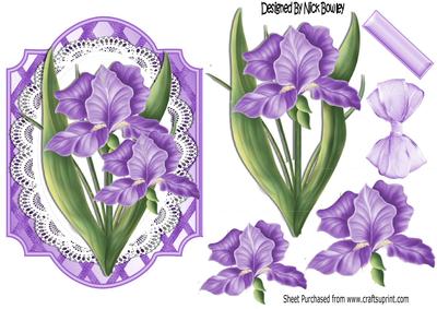Pretty Purple Iris Flowers on Lace with Bow