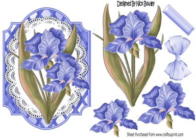 Pretty Blue Iris Flowers on Lace with Bow
