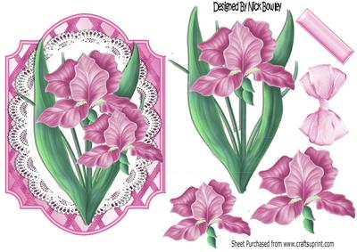 Pretty Pink Iris Flowers on Lace with Bow