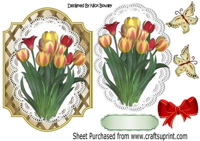 Spring Red and Yellow Tulips on Lace with Butterflies
