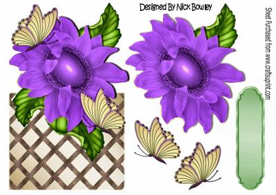 Pretty Purple Sunflower with Butterflies Over the Edge