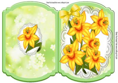 Pretty Golden Daffodils on Lace with Bow Bracket Card
