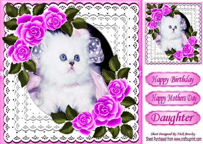Cute White Kitten with Pink Roses in Lace Frame 8x8