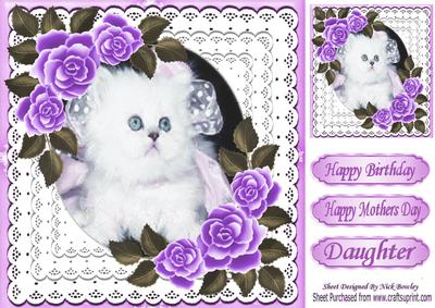 Cute White Kitten with Purple Roses in Lace Frame 8x8