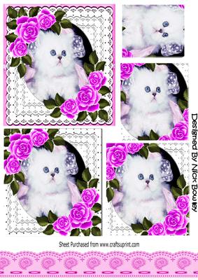 Cute White Kitten with Pink Roses in Lace Frame Pyramids
