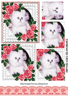 Cute White Kitten with Red Roses in Lace Frame Pyramids