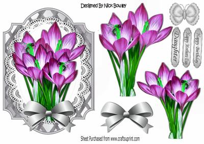 Pretty Pink Crocus and Butterflies on Silver Lattice Frame