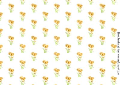 Pretty Yellow Daffodils Backing Paper (landscape)