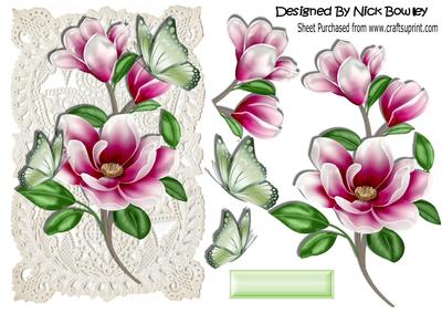 Pretty Pink Magnolias and Butterflies on Vintage Lace