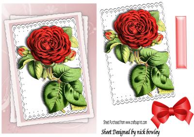 Pretty Red Roses on Lace with Stacked Layers