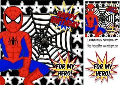 Birthday Boy! for My Hero Spiderman in Web 8x8