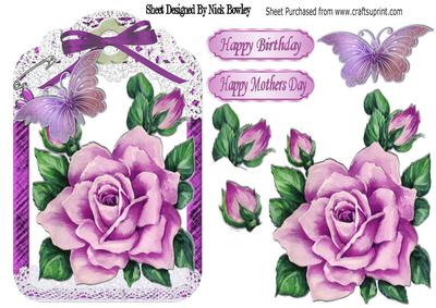 Pretty Painted Pink Roses and Butterflies in Lace Frame