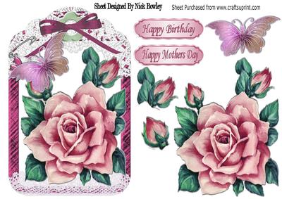 Pretty Painted Rose Pink Roses and Butterflies in Lace Frame