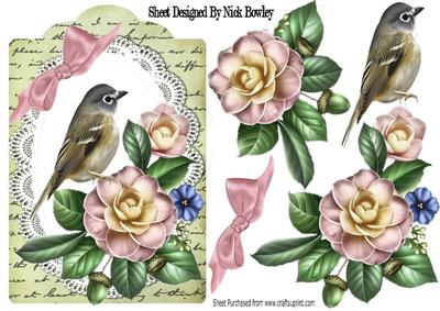 Pretty Wild Summer Pink Roses on Lace with Bird and Script
