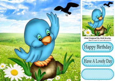 Hello Mr Seagull, Cute Bluebird with Daisies 8x8