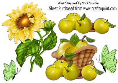 Lovely Basket of Fruit, with Yellow Sunflower A4