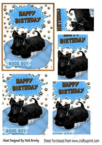 Black scottie dog in blue bed Pyramids