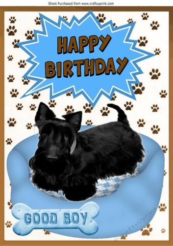 Black Scottie Dog in blue bed A4