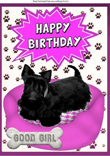 Black scottie Dog in pink bed A4