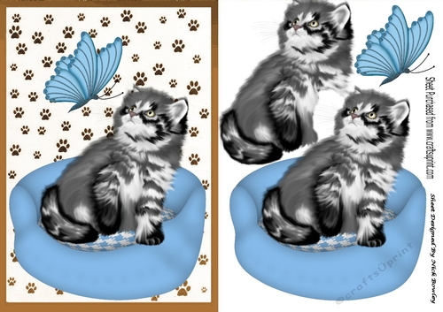 Grey kitten  in blue cat basket with butterfly