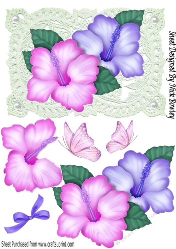 Pretty troplical pink/purple flowers on vintage lace with butterflies