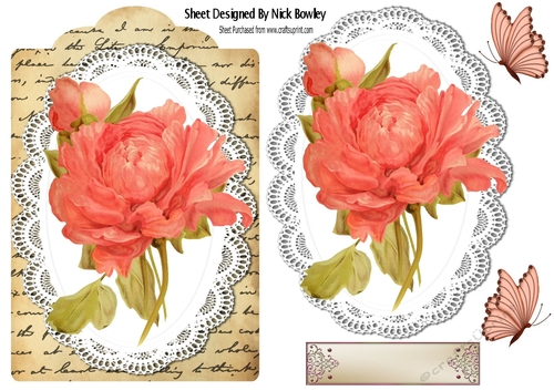 Pretty hand painted peach rose on lace & script