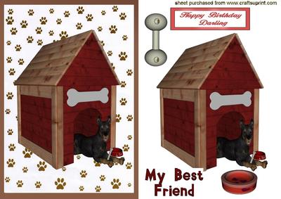 Not Again! Always in the Dog House