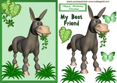 Cute Ass! Cheeky Little Donkey