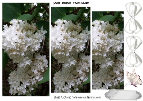 Pretty white lilac garden flowers with butterfly & bows pyramids