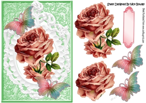 Pretty pink vintage rose in white ornate frame with butterflies