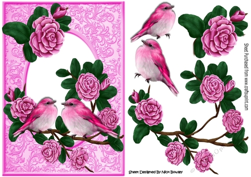 Pretty pink roses on a branch with pink birds A5