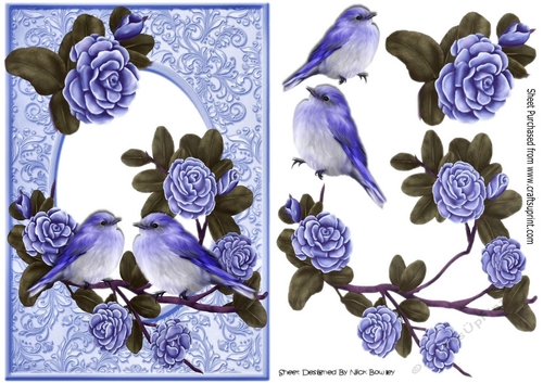 Pretty purple roses on a branch with purple birds