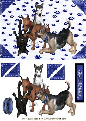Playful Dogs, Cute Little Pooches