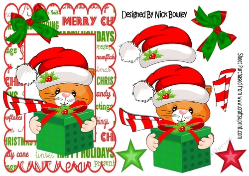 Cute kitty in santa hat with pressie, with bow