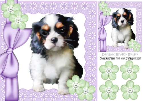 Cute little cavalier puppy with bow and buttons 8x8