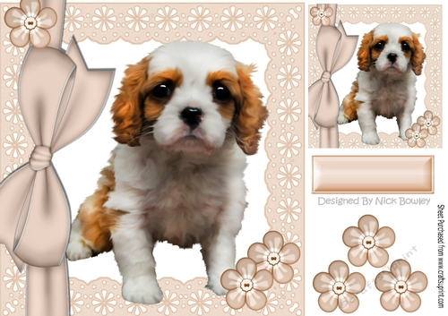 Cute little tan and white cavalier puppy with bow and buttons 8x8