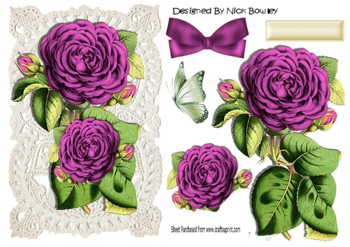 Pretty pink roses on old ecru  lace  A5