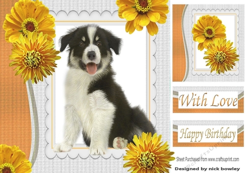 Border collie with gold flowers in ornate frame 8x8