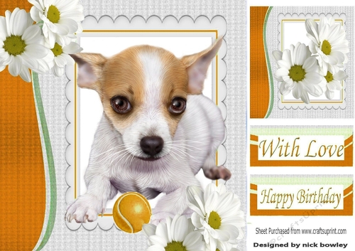 Cute little Chihuahua puppy with  yellow ball and daisies 8x8