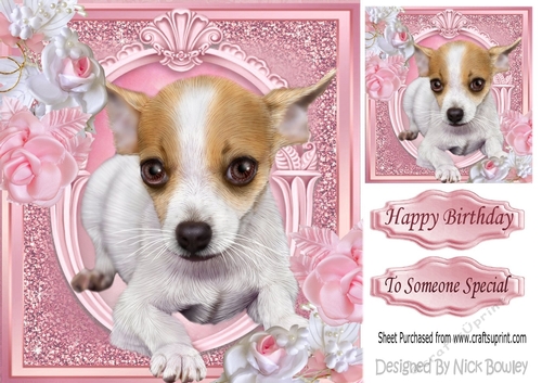 Cute little Chihuahua puppy with pink roses 8x8