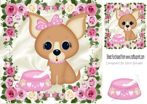 I love my Bella boo, little chihuahua 8x8