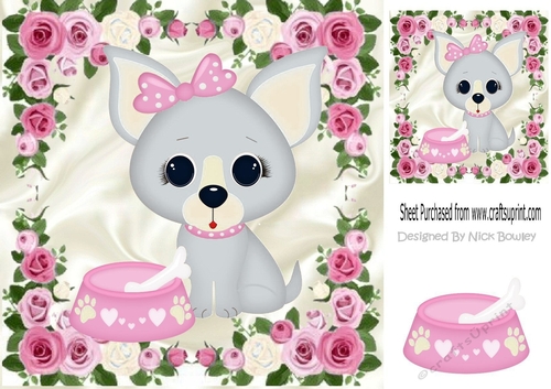 I love my Bella boo, little Grey Chihuahua 8x8