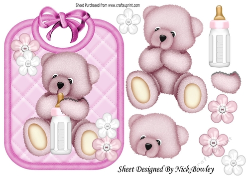 Cute cuddle bear on pink babys bib with bottle