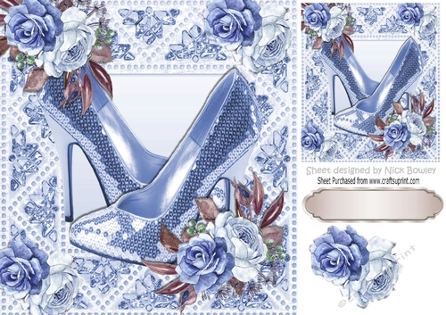 Pretty  painted roses in sparkle frame with blue shoes 8x8